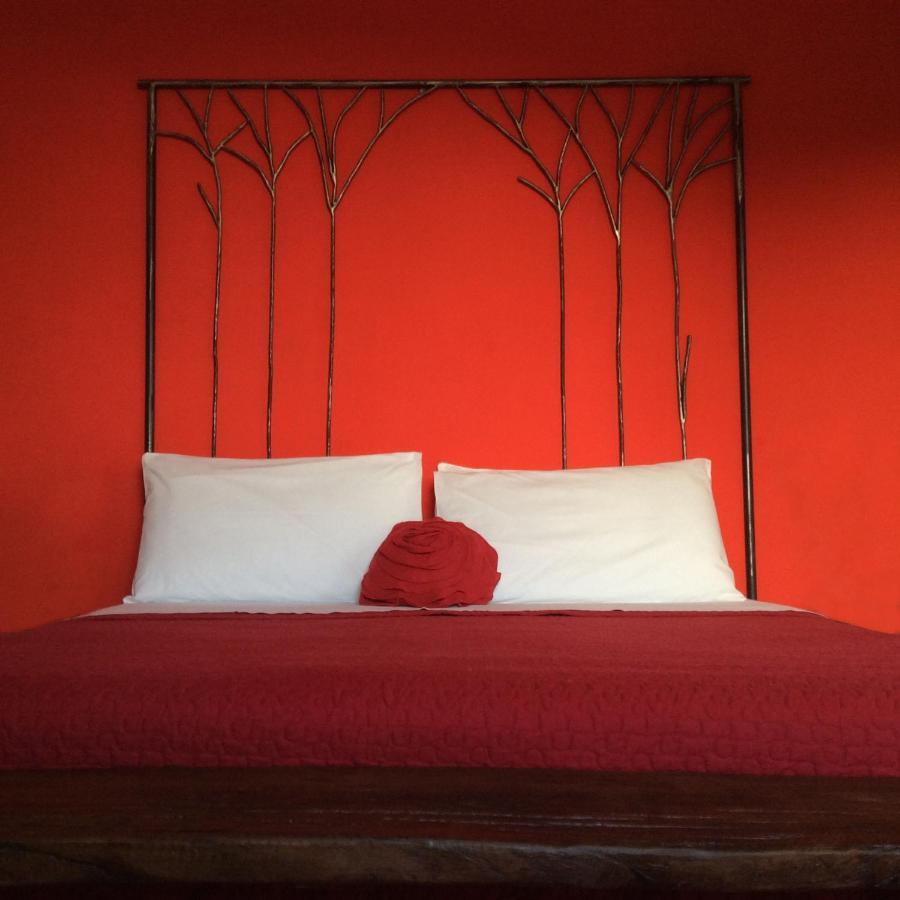 Farm stay Fattoria Bio L'A Ceccoli *