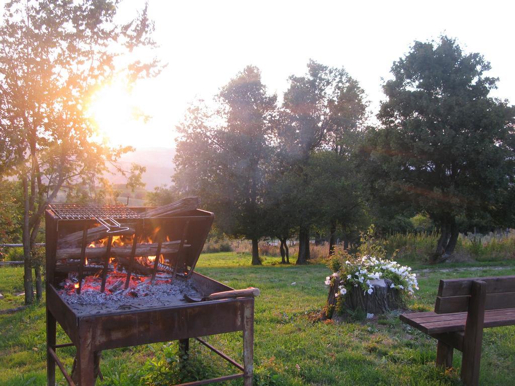 Fattoria Bio L'a Ceccoli Agroturismo