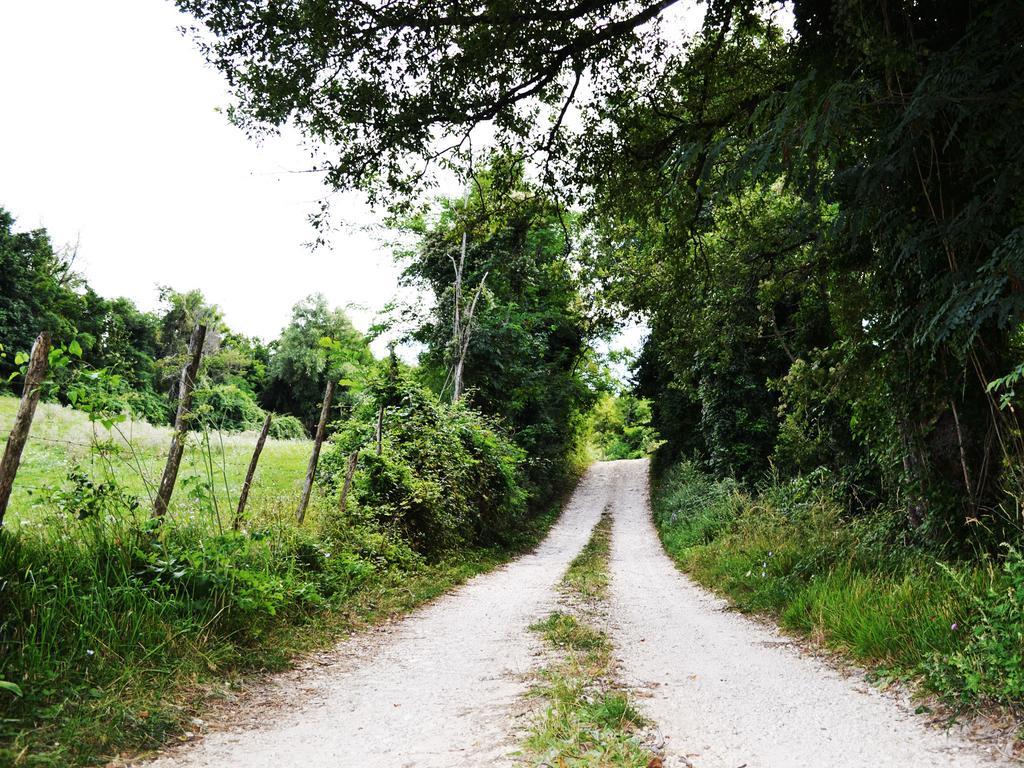 Fattoria Bio L'a Ceccoli Agroturismo *