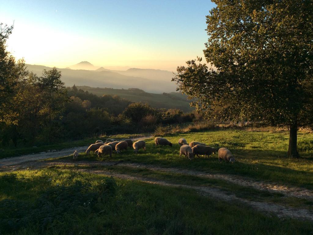 Fattoria Bio L'a Ceccoli Agroturismo Sasso Feltrio