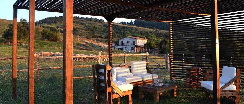 Fattoria Bio L'a Ceccoli