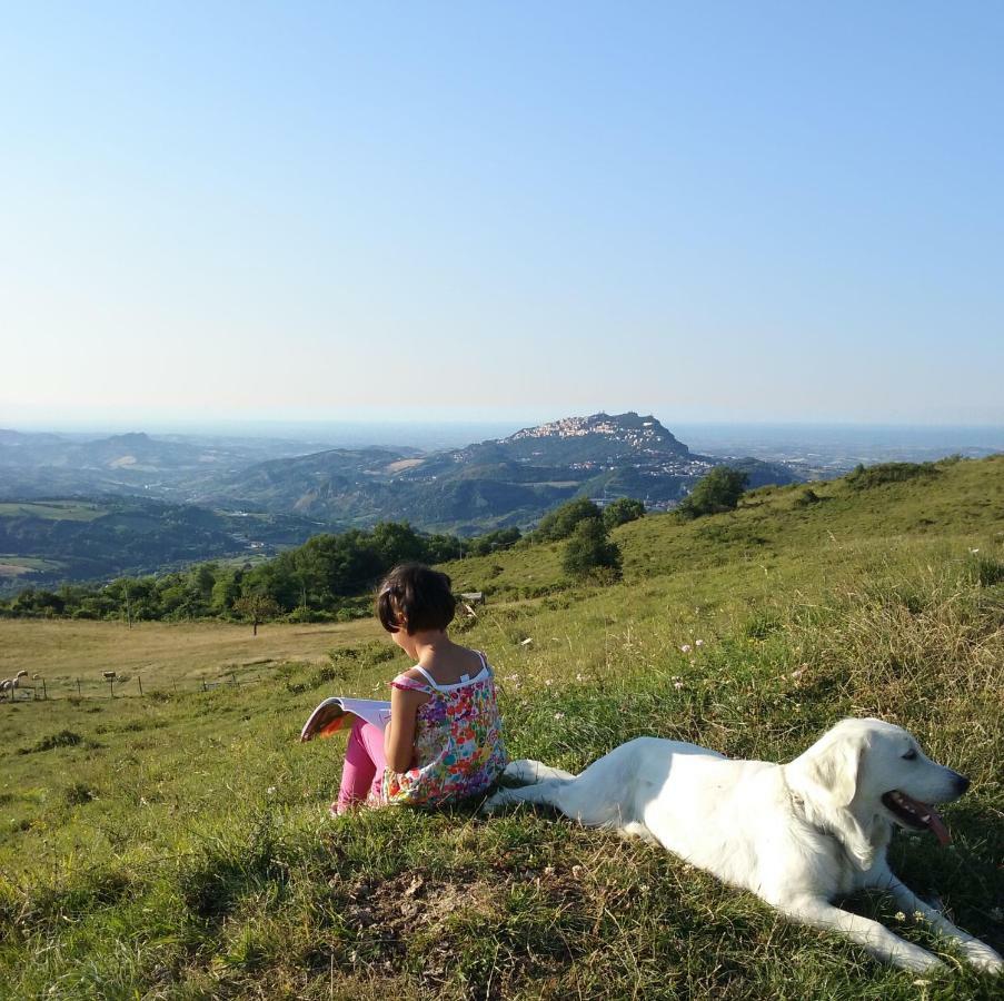 Agroturismo Fattoria Bio L'a Ceccoli Sasso Feltrio