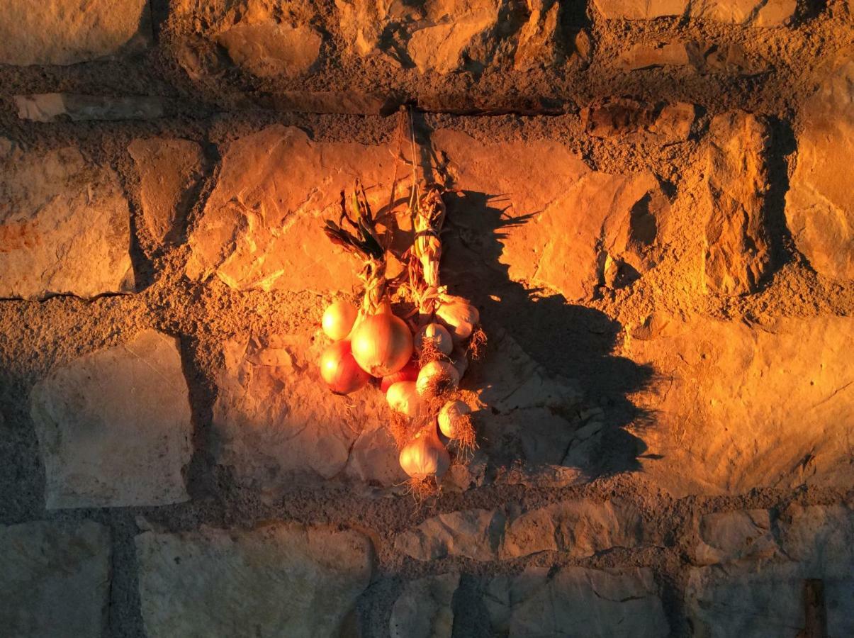 Fattoria Bio L'a Ceccoli