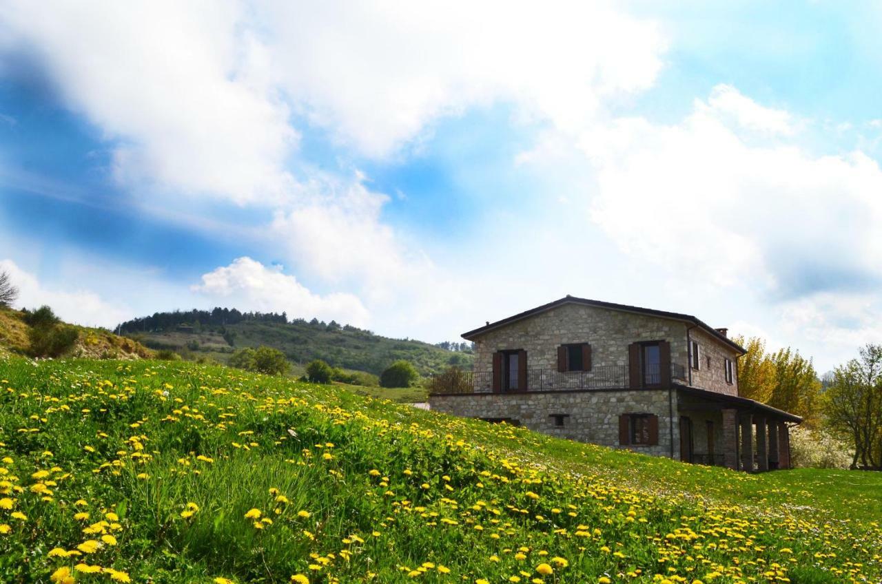 Fattoria Bio L'a Ceccoli Agroturismo Sasso Feltrio