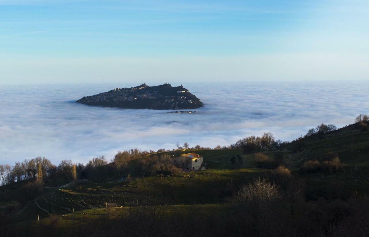 Fattoria Bio L'a Ceccoli